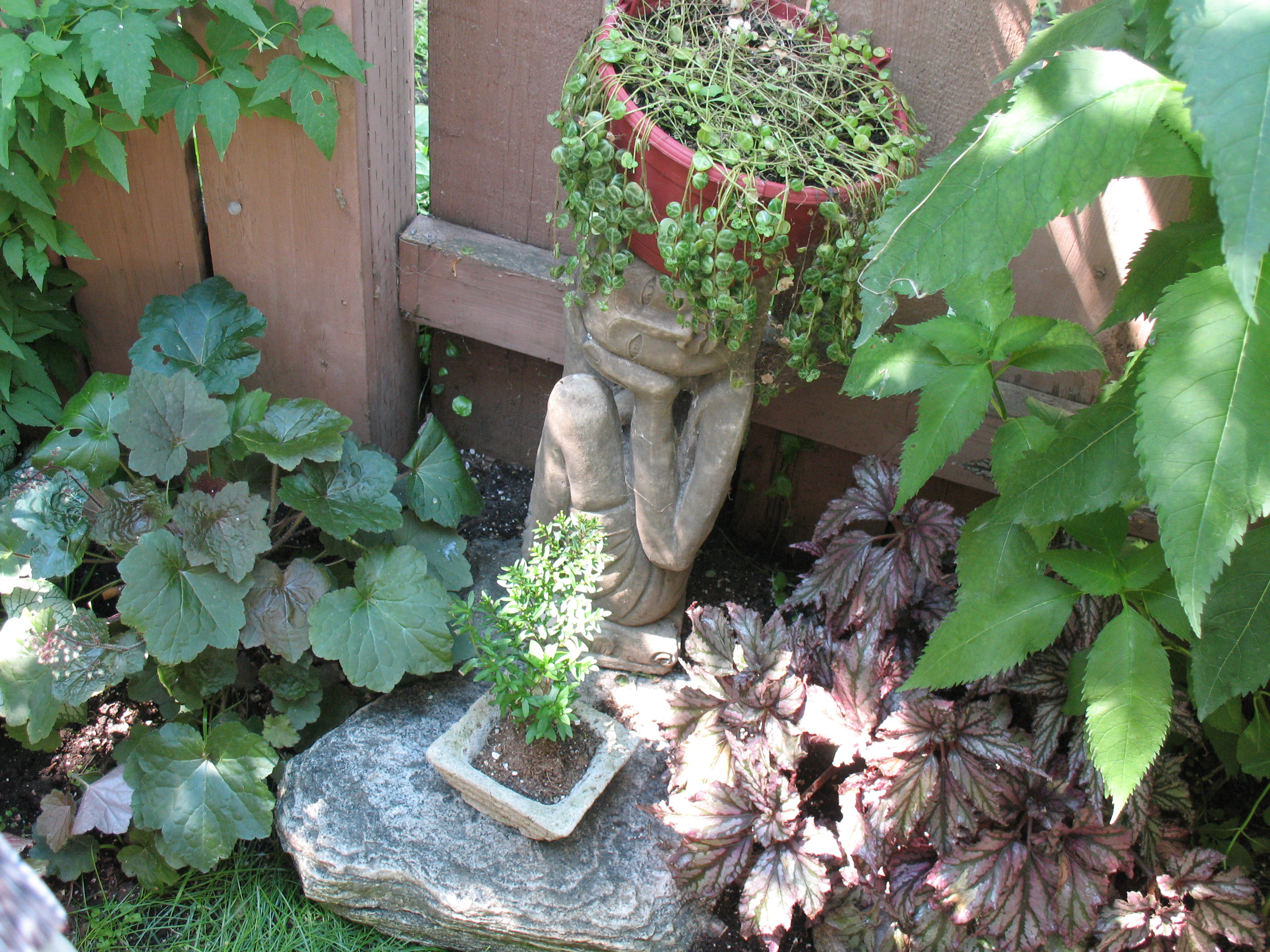 Gloria and Ken's lovely garden