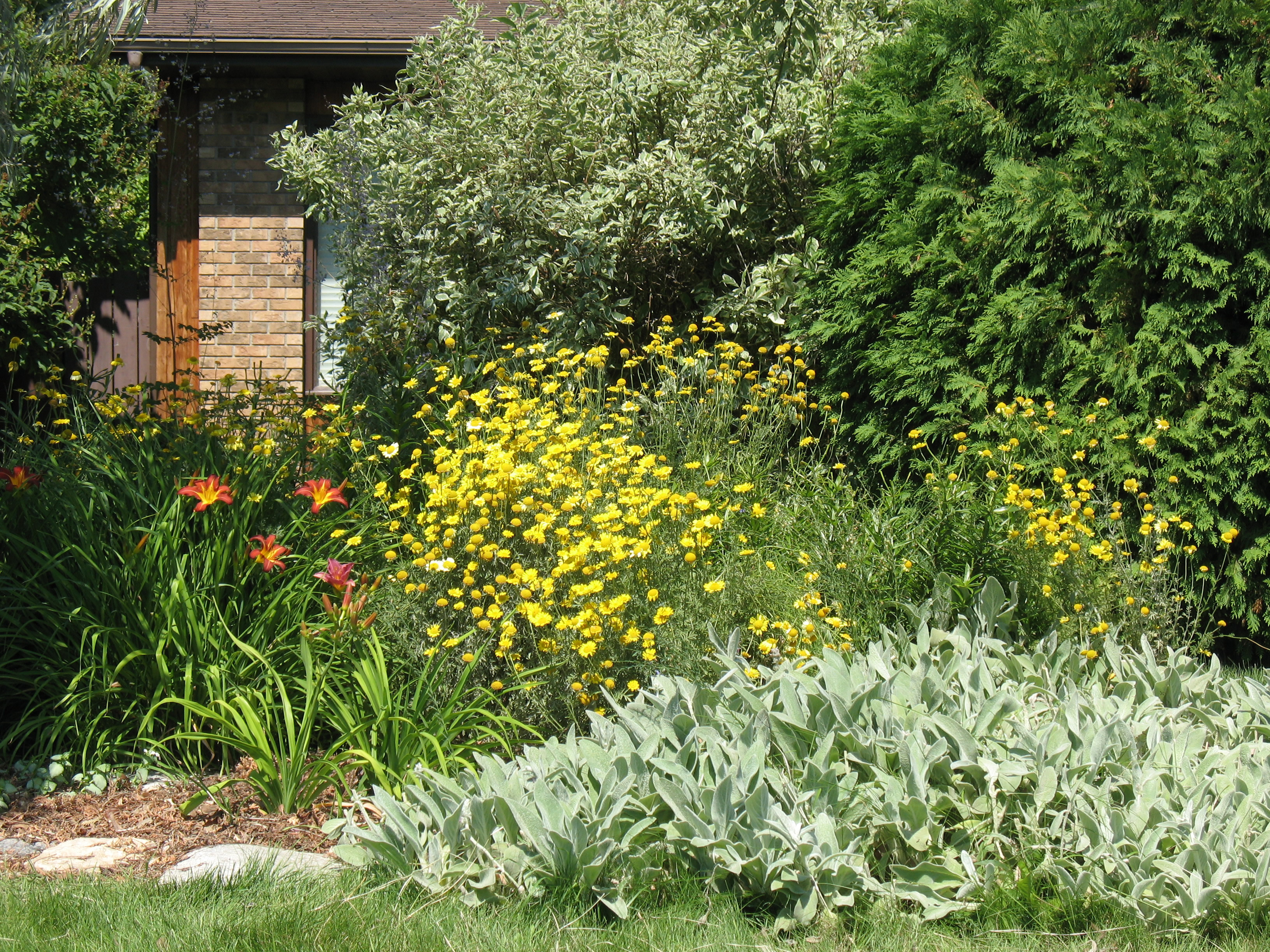 Daphne and Kelly's lovely garden