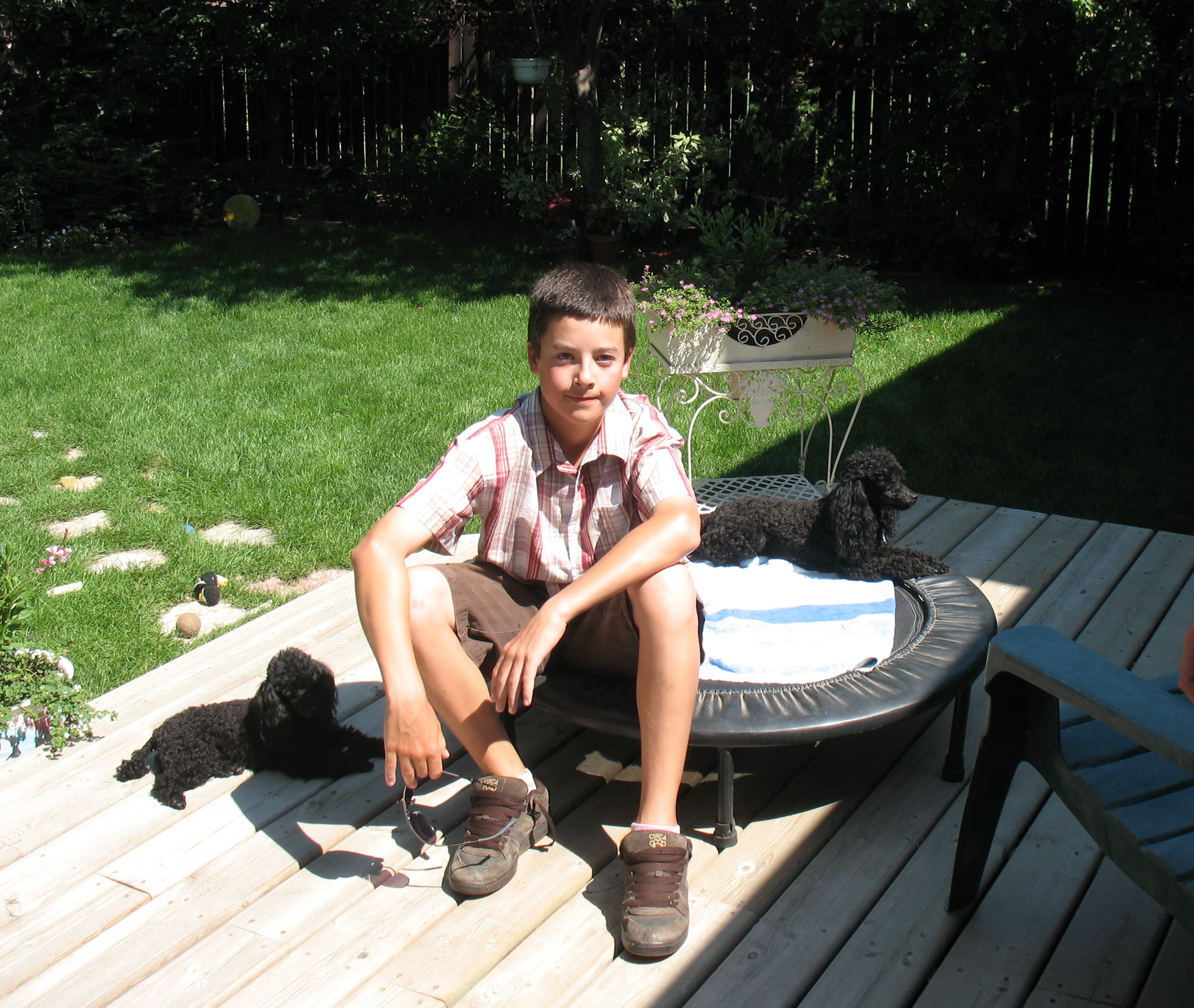 Lukas and the dogs on the patio